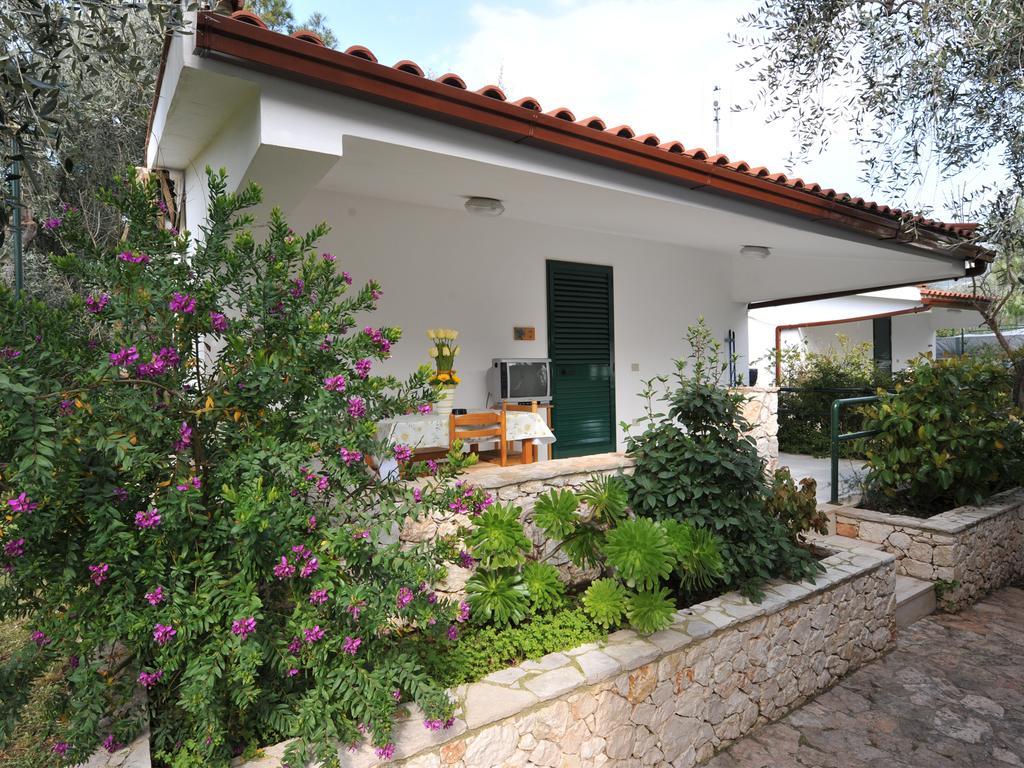 Camping Village Degli Ulivi 马蒂纳塔 客房 照片