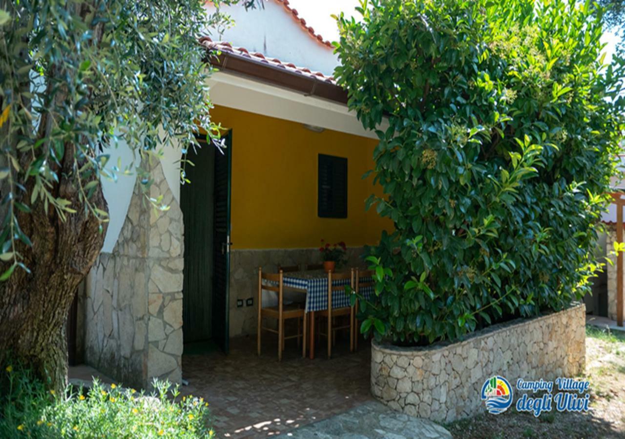 Camping Village Degli Ulivi 马蒂纳塔 外观 照片