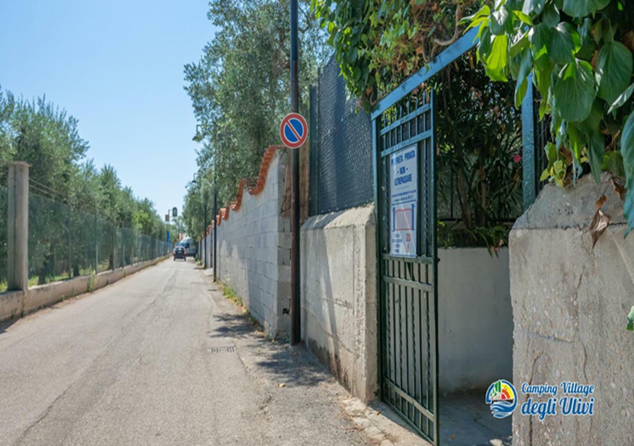 Camping Village Degli Ulivi 马蒂纳塔 外观 照片
