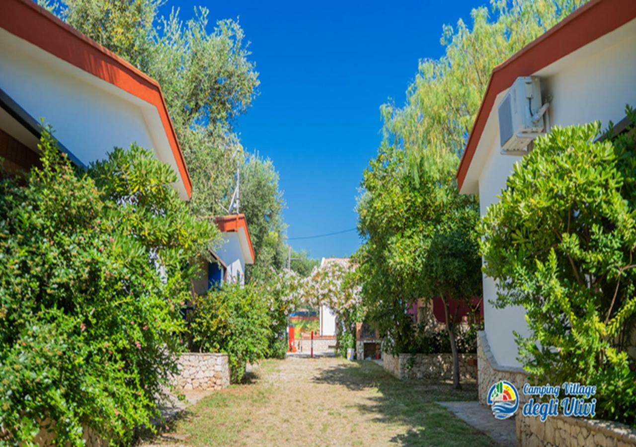 Camping Village Degli Ulivi 马蒂纳塔 外观 照片