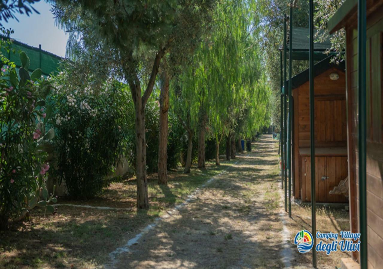 Camping Village Degli Ulivi 马蒂纳塔 外观 照片