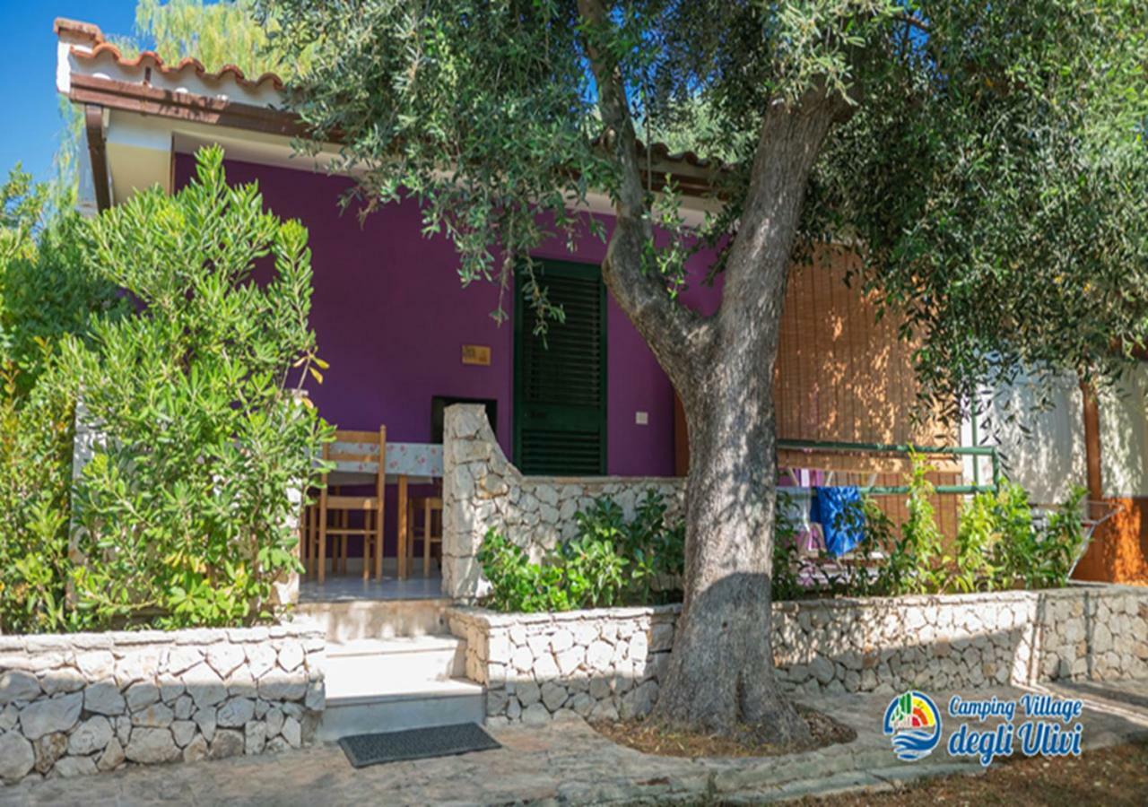 Camping Village Degli Ulivi 马蒂纳塔 外观 照片