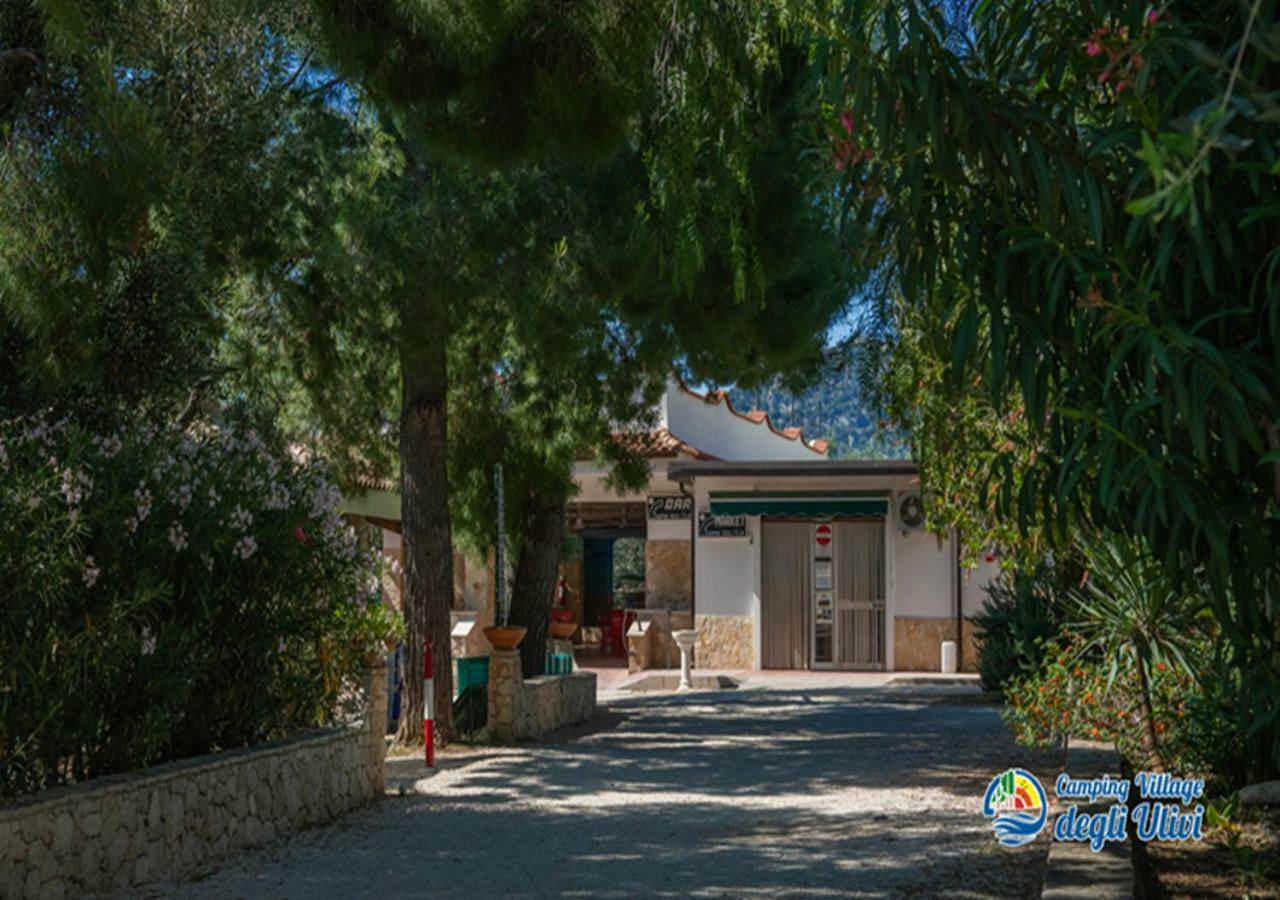 Camping Village Degli Ulivi 马蒂纳塔 外观 照片